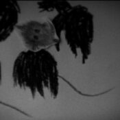 Filmbild - Das dritte Auge 5