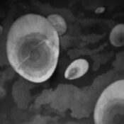Filmbild - Das dritte Auge 6