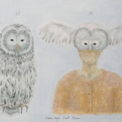 Naturstudie - Eule/Mensch