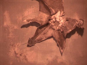 Experimentalfim von Sae Esashi "Berliner Assadas", Animation aus Druckarbeiten und Zeichnungen, 2010